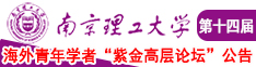 男女操鸡视频南京理工大学第十四届海外青年学者紫金论坛诚邀海内外英才！